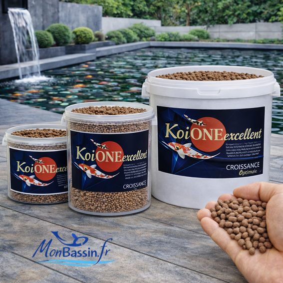 aliment carpe koi croissance