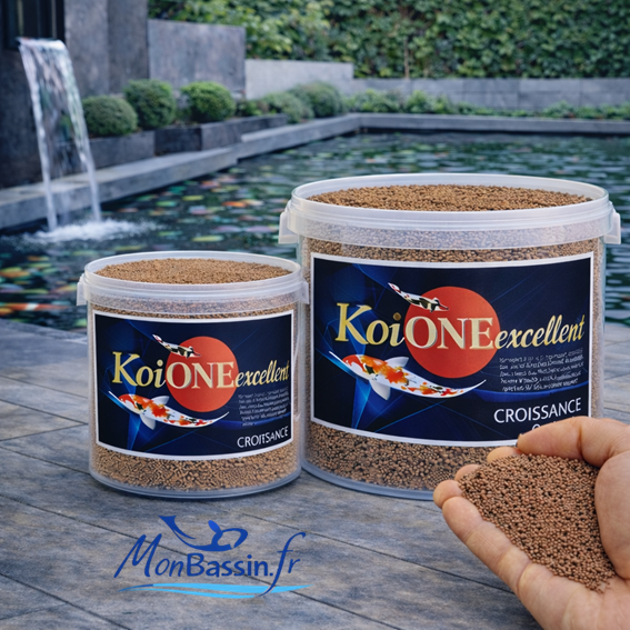 aliment bébé carpe koi-bassin