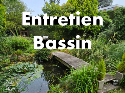 Entretien de Bassin dans le Nord-Pas-de-Calais – Expert Local depuis 2010