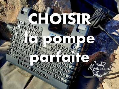 Pompes bassin : 15 ans d'expérience pour t'éviter les pièges classiques